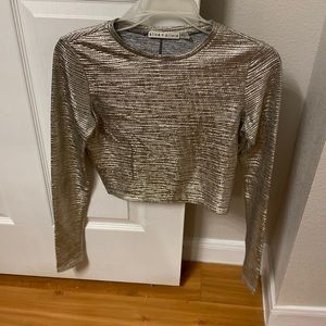 Silver Crop top